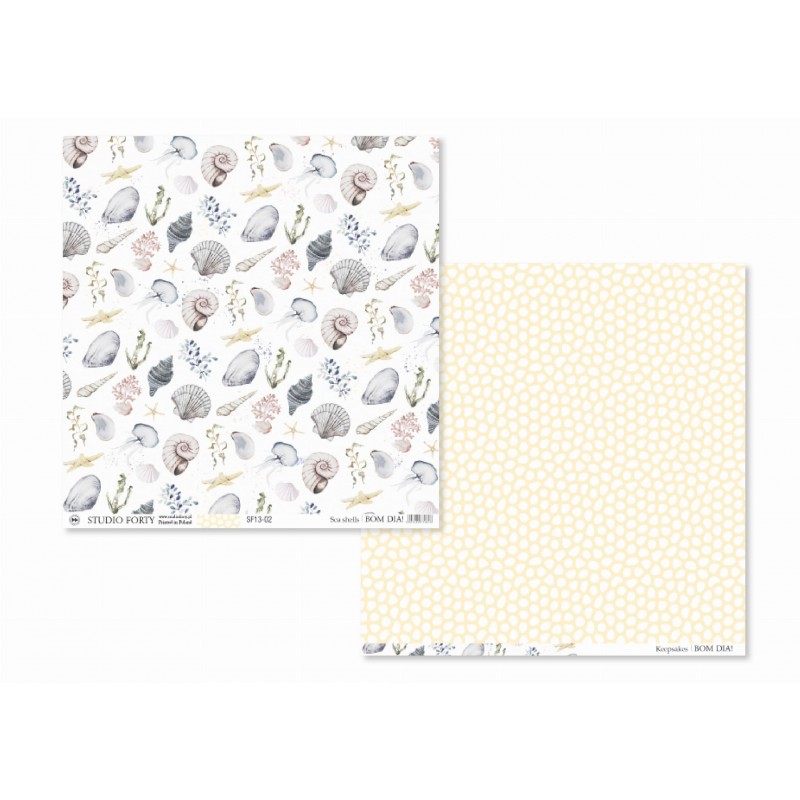 Studio Forty Sea shells