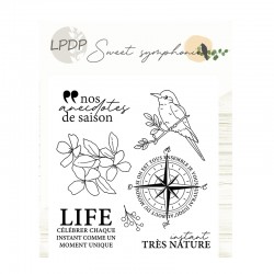 Tampon Sweet symphonie - LIFE