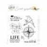 Tampon Sweet symphonie - LIFE