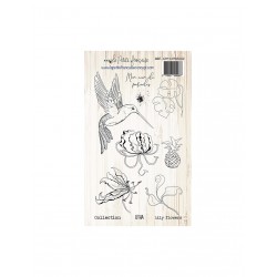La petite française - Lily...