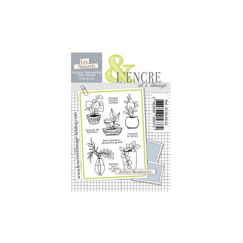 L'ENCRE ET L'IMAGE - Jolies boutures