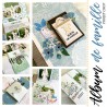 Kit album de Famille