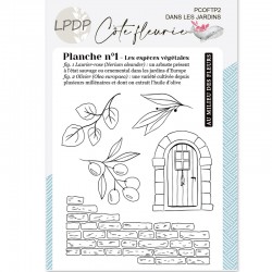 Tampon Côte fleurie - Dans...