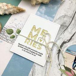 Tampon Côte fleurie - Aventures océaniques