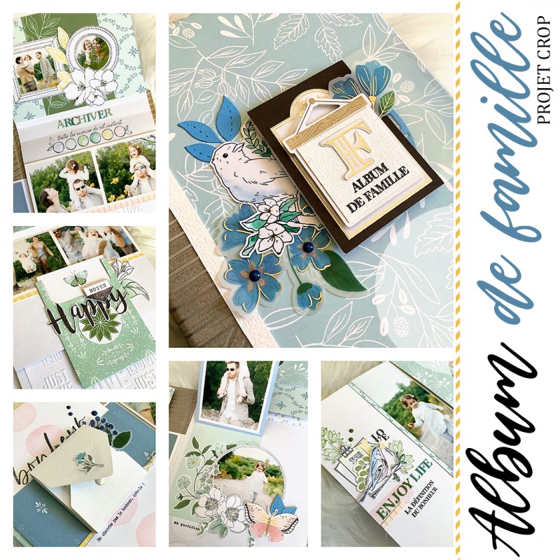 Fiche technique album de Famille