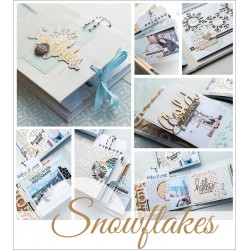 Fiche Technique Snowflakes