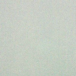 Cardstock gris clair (lot...